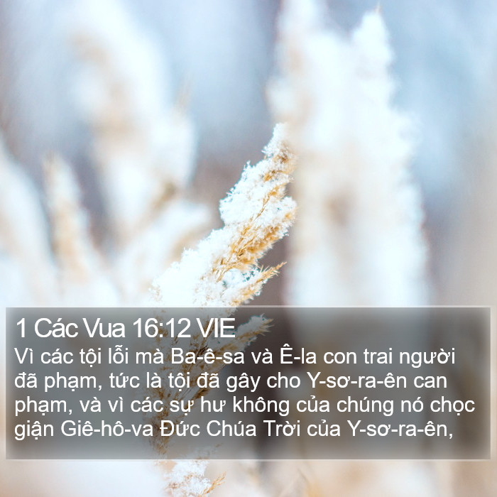 1 Các Vua 16:12 VIE Bible Study