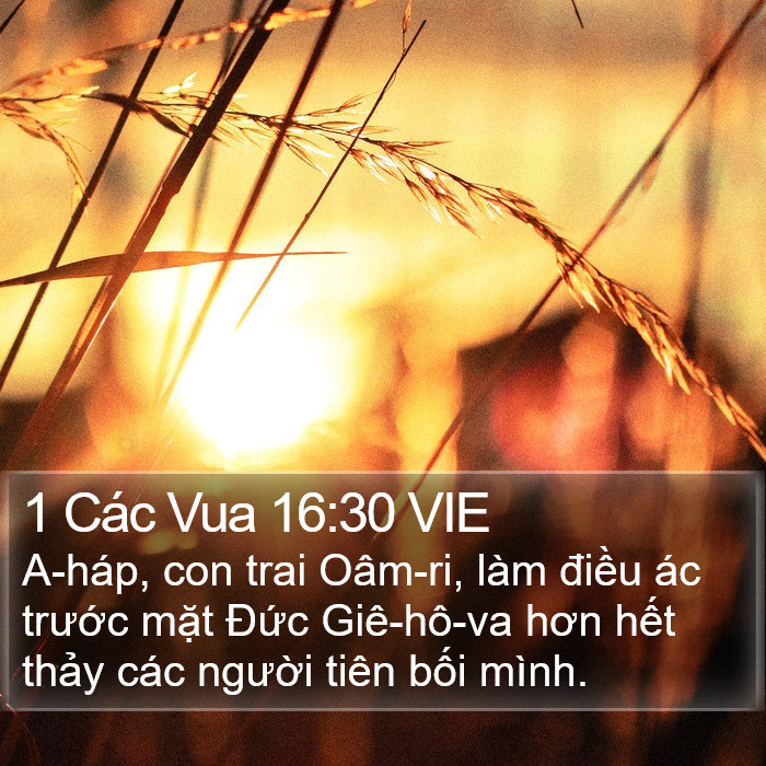 1 Các Vua 16:30 VIE Bible Study