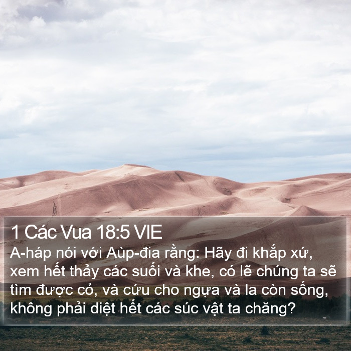 1 Các Vua 18:5 VIE Bible Study