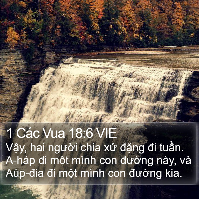 1 Các Vua 18:6 VIE Bible Study