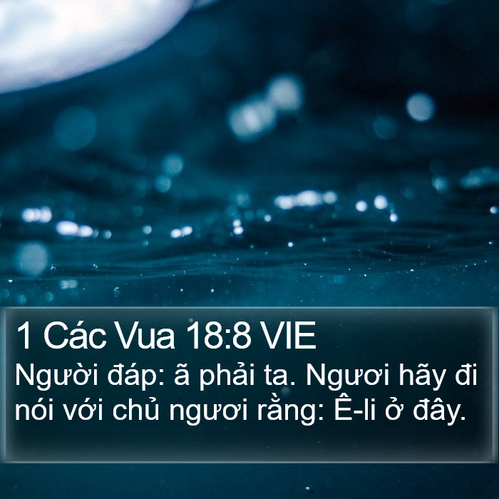 1 Các Vua 18:8 VIE Bible Study