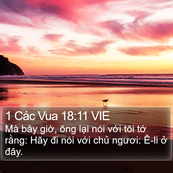 1 Các Vua 18:11 VIE Bible Study