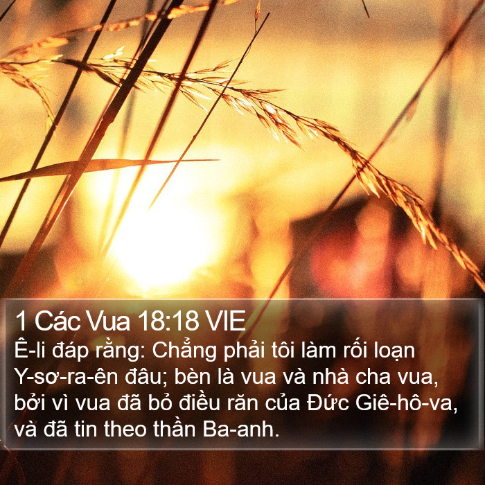 1 Các Vua 18:18 VIE Bible Study