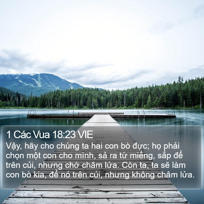 1 Các Vua 18:23 VIE Bible Study