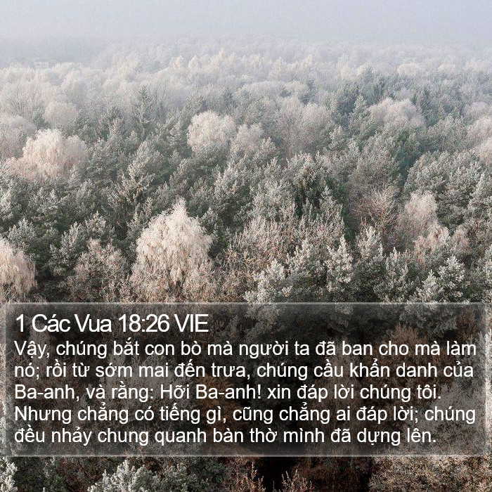 1 Các Vua 18:26 VIE Bible Study