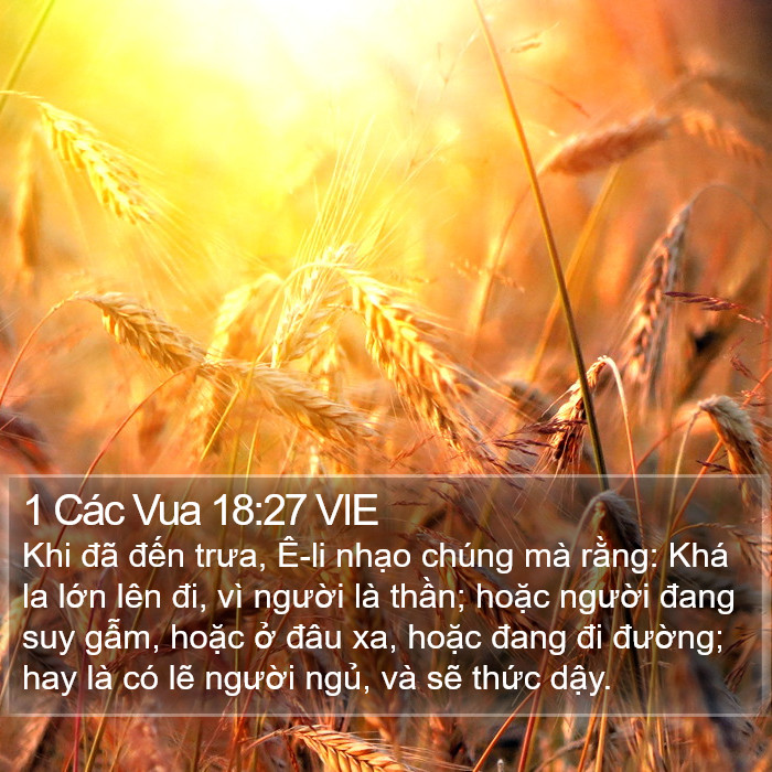 1 Các Vua 18:27 VIE Bible Study