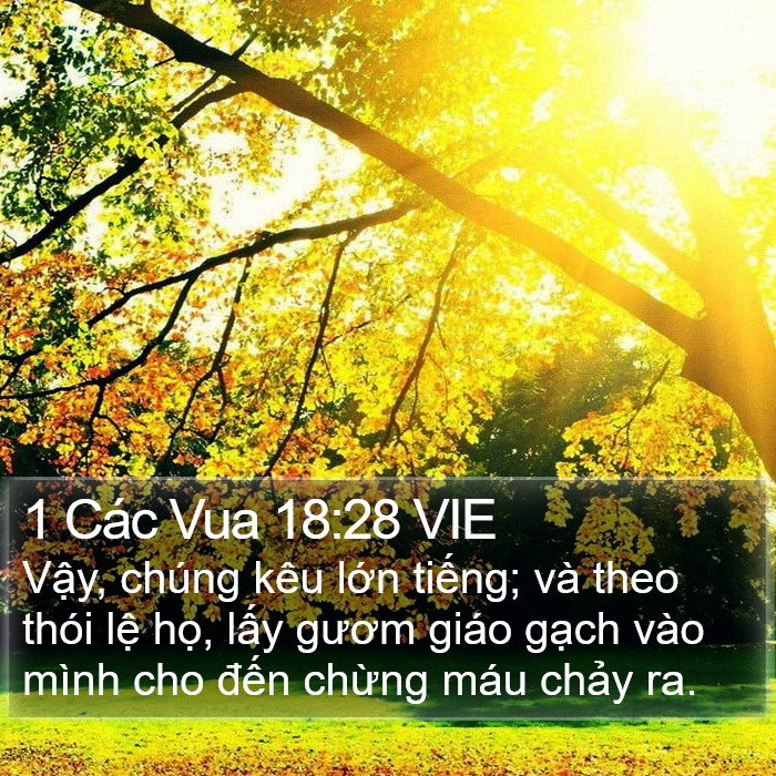 1 Các Vua 18:28 VIE Bible Study