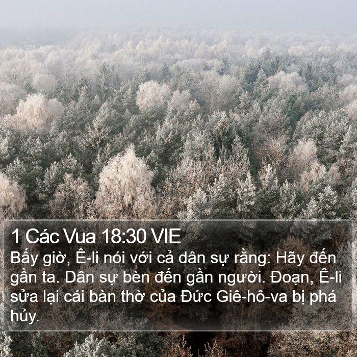 1 Các Vua 18:30 VIE Bible Study