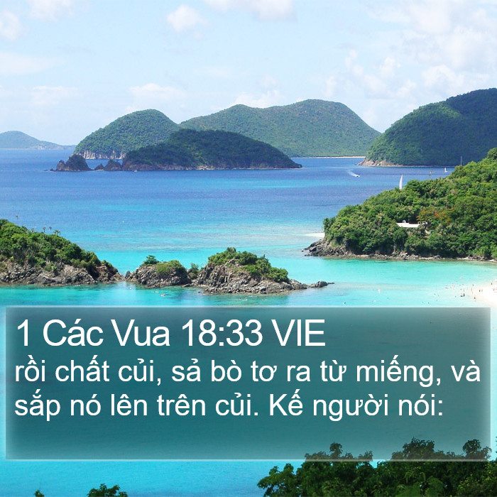 1 Các Vua 18:33 VIE Bible Study