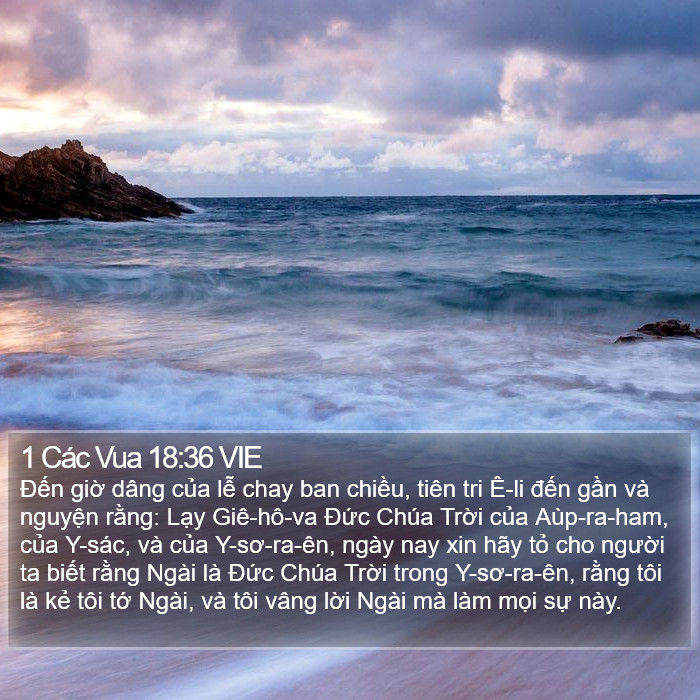 1 Các Vua 18:36 VIE Bible Study