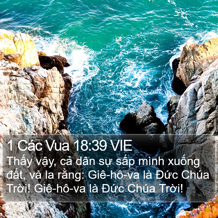 1 Các Vua 18:39 VIE Bible Study