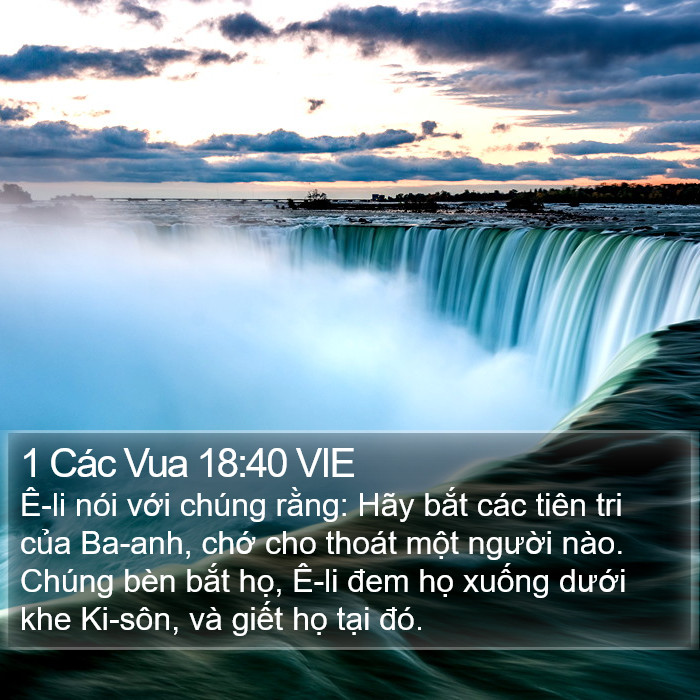 1 Các Vua 18:40 VIE Bible Study