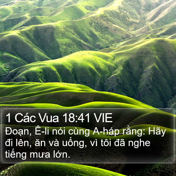 1 Các Vua 18:41 VIE Bible Study