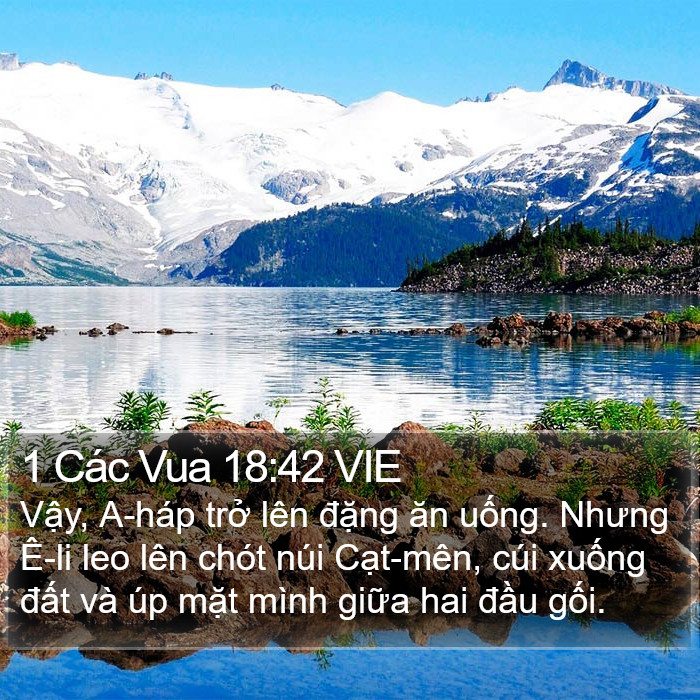 1 Các Vua 18:42 VIE Bible Study