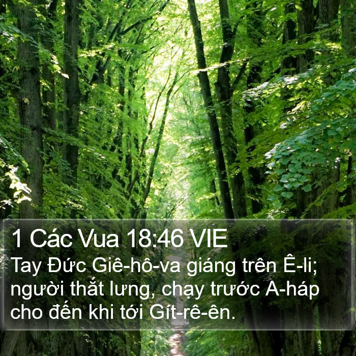 1 Các Vua 18:46 VIE Bible Study