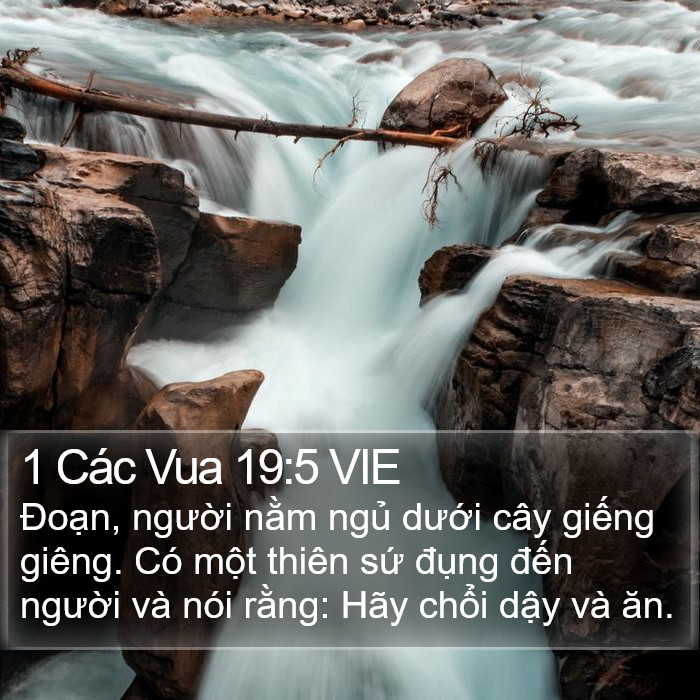 1 Các Vua 19:5 VIE Bible Study