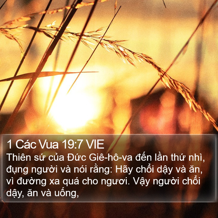 1 Các Vua 19:7 VIE Bible Study