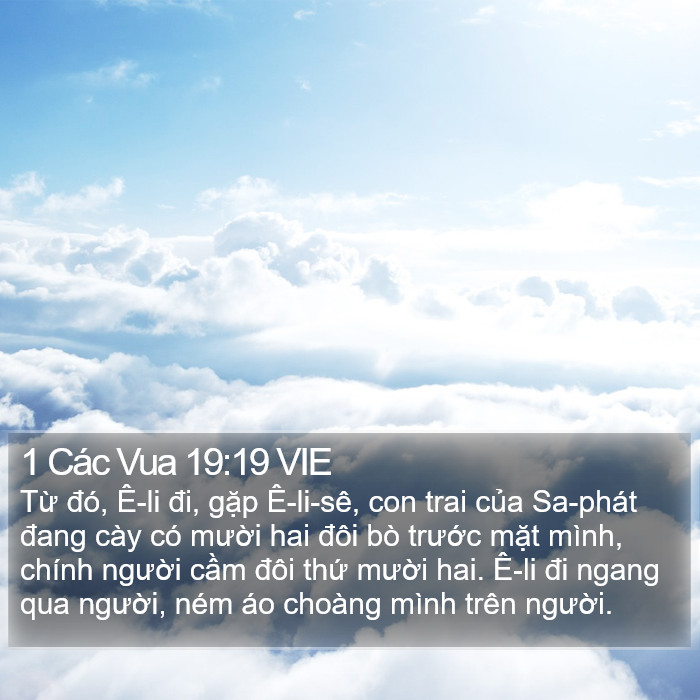 1 Các Vua 19:19 VIE Bible Study