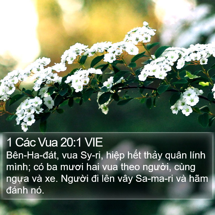 1 Các Vua 20:1 VIE Bible Study