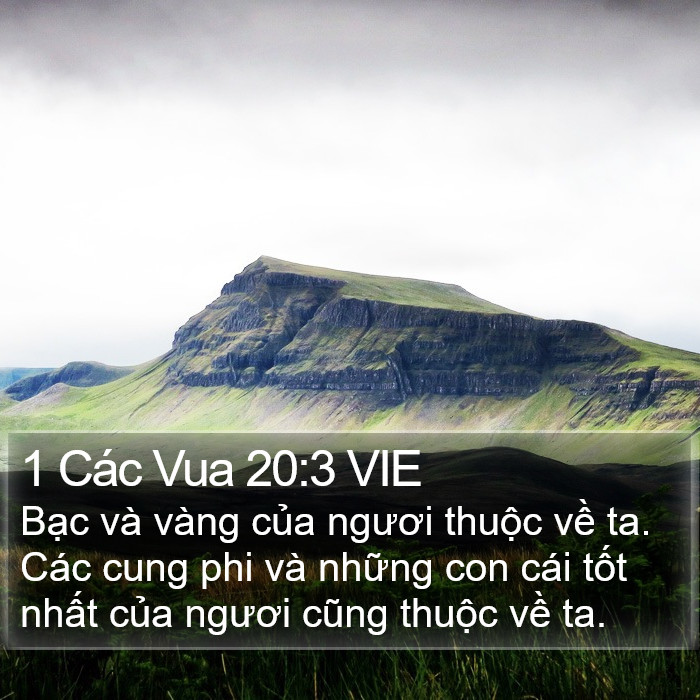 1 Các Vua 20:3 VIE Bible Study