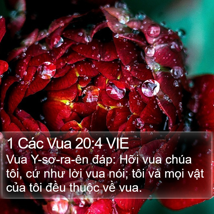 1 Các Vua 20:4 VIE Bible Study