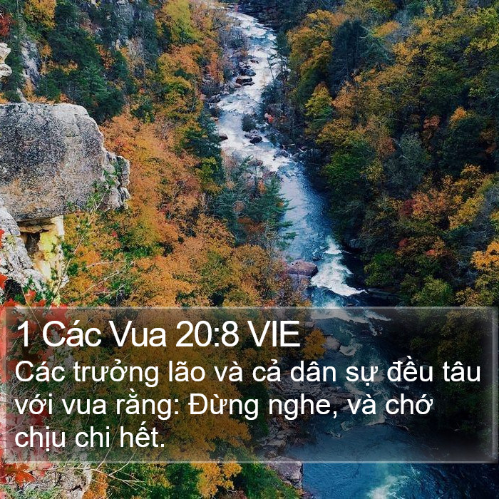 1 Các Vua 20:8 VIE Bible Study