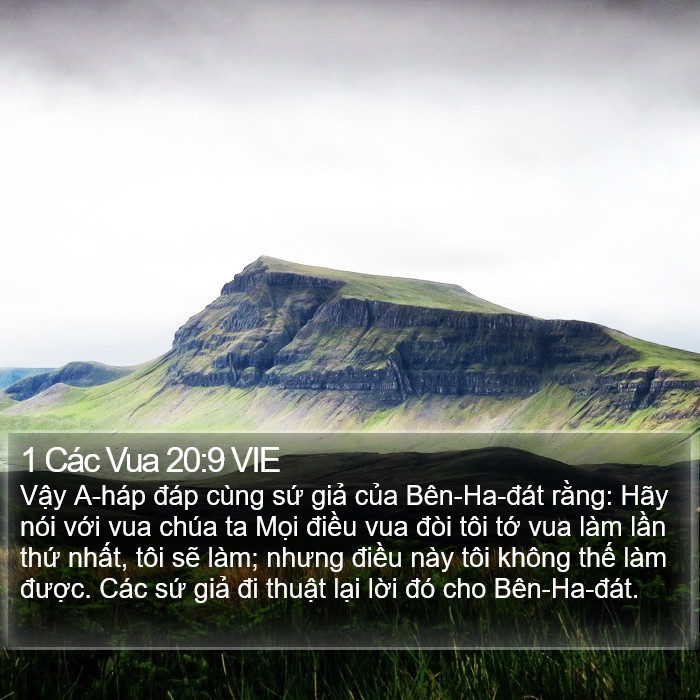 1 Các Vua 20:9 VIE Bible Study