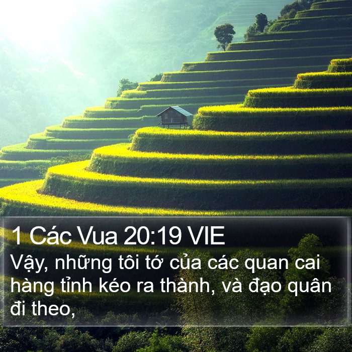 1 Các Vua 20:19 VIE Bible Study
