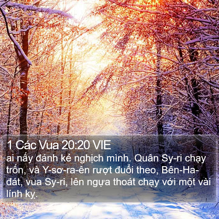1 Các Vua 20:20 VIE Bible Study