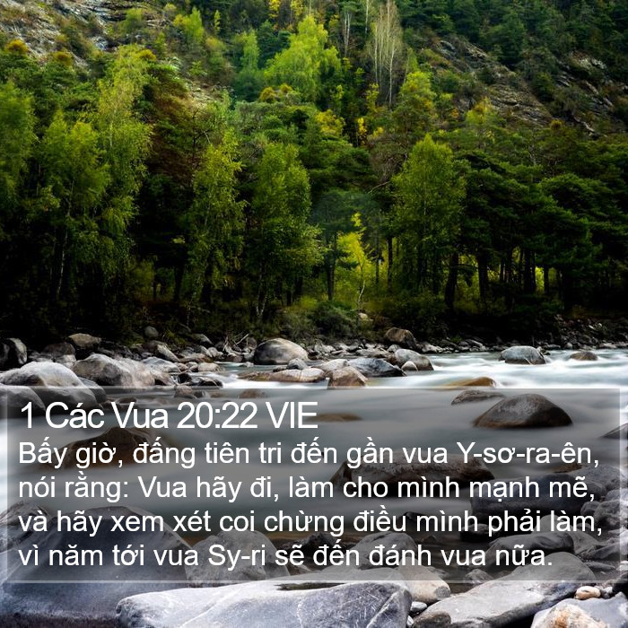 1 Các Vua 20:22 VIE Bible Study
