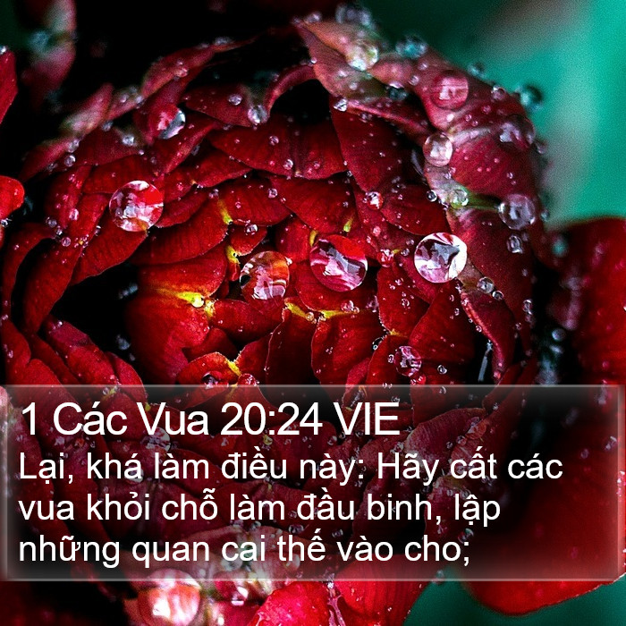 1 Các Vua 20:24 VIE Bible Study
