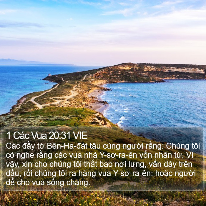 1 Các Vua 20:31 VIE Bible Study