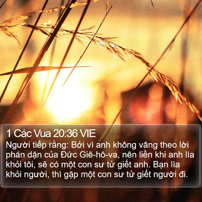 1 Các Vua 20:36 VIE Bible Study