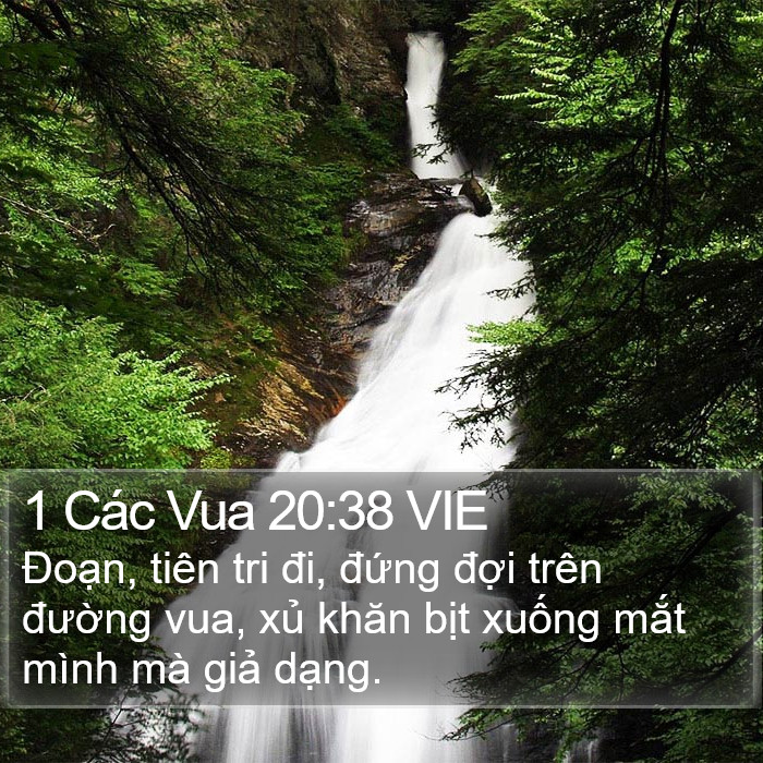 1 Các Vua 20:38 VIE Bible Study