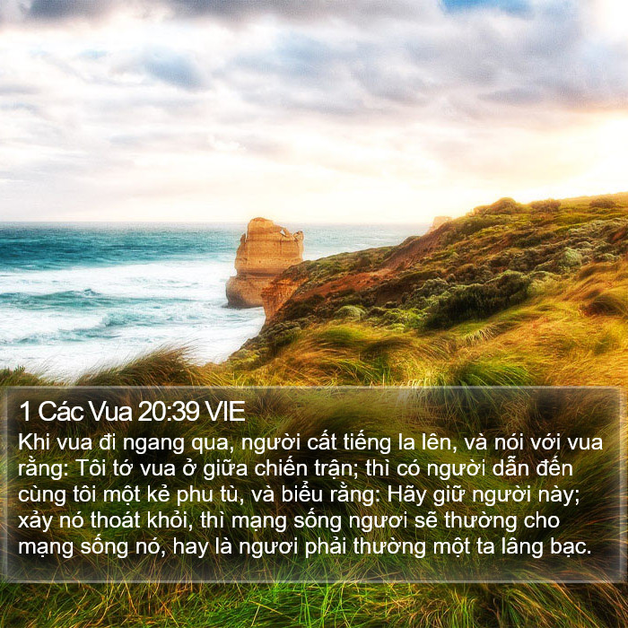 1 Các Vua 20:39 VIE Bible Study