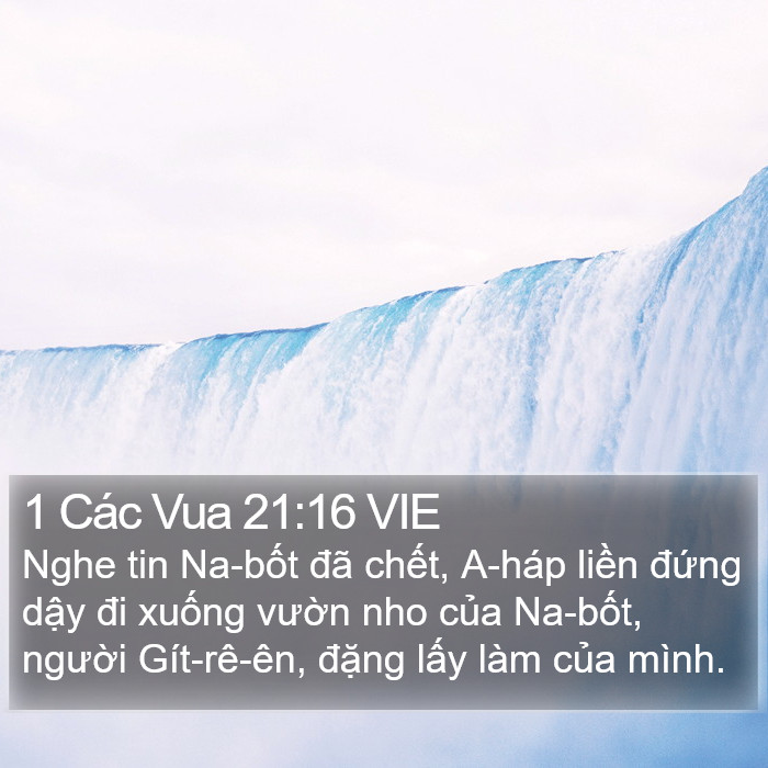 1 Các Vua 21:16 VIE Bible Study