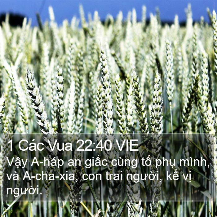 1 Các Vua 22:40 VIE Bible Study