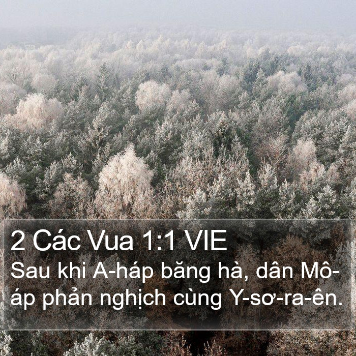 2 Các Vua 1:1 VIE Bible Study