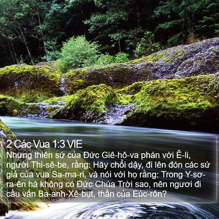 2 Các Vua 1:3 VIE Bible Study