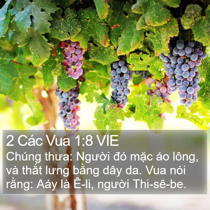 2 Các Vua 1:8 VIE Bible Study