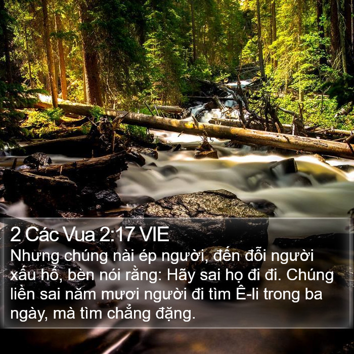 2 Các Vua 2:17 VIE Bible Study