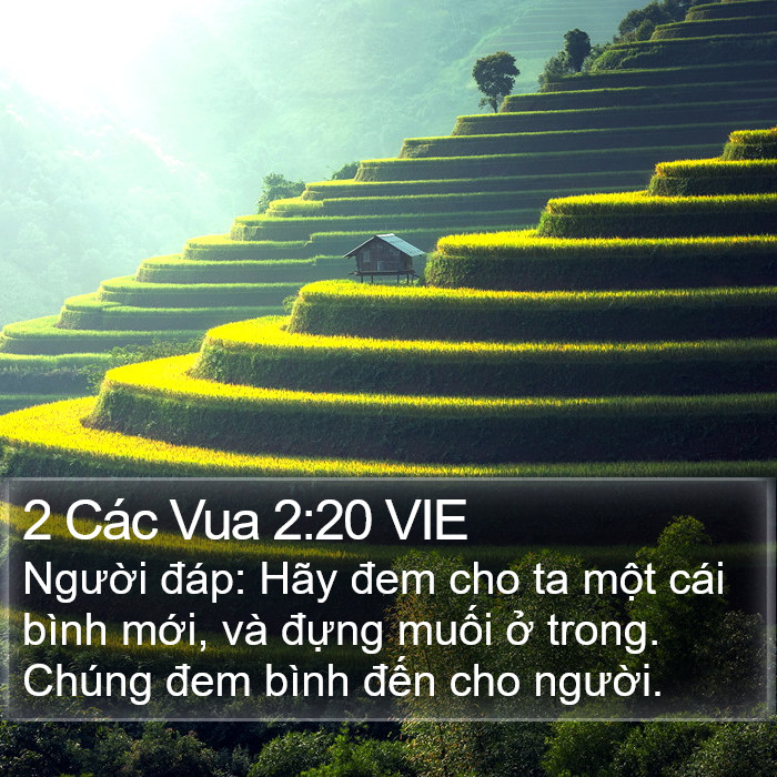 2 Các Vua 2:20 VIE Bible Study