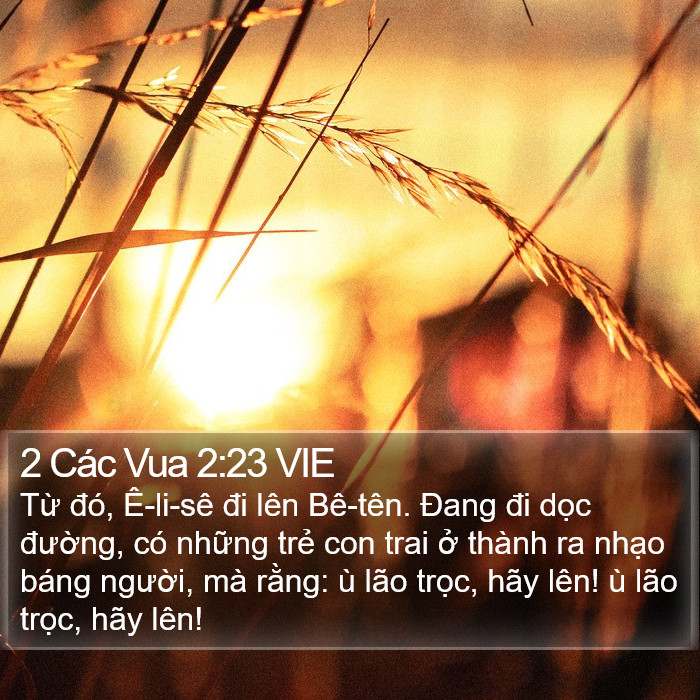 2 Các Vua 2:23 VIE Bible Study