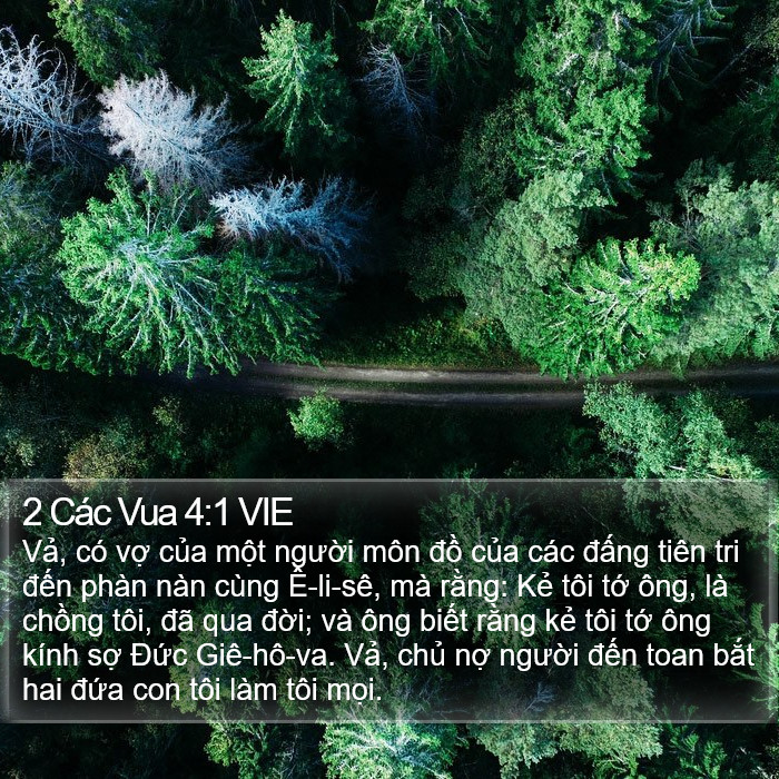 2 Các Vua 4:1 VIE Bible Study