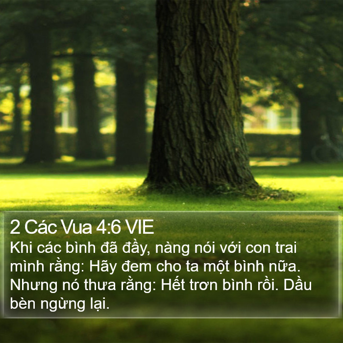 2 Các Vua 4:6 VIE Bible Study