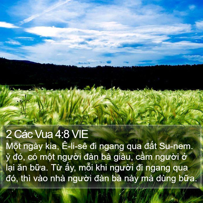 2 Các Vua 4:8 VIE Bible Study