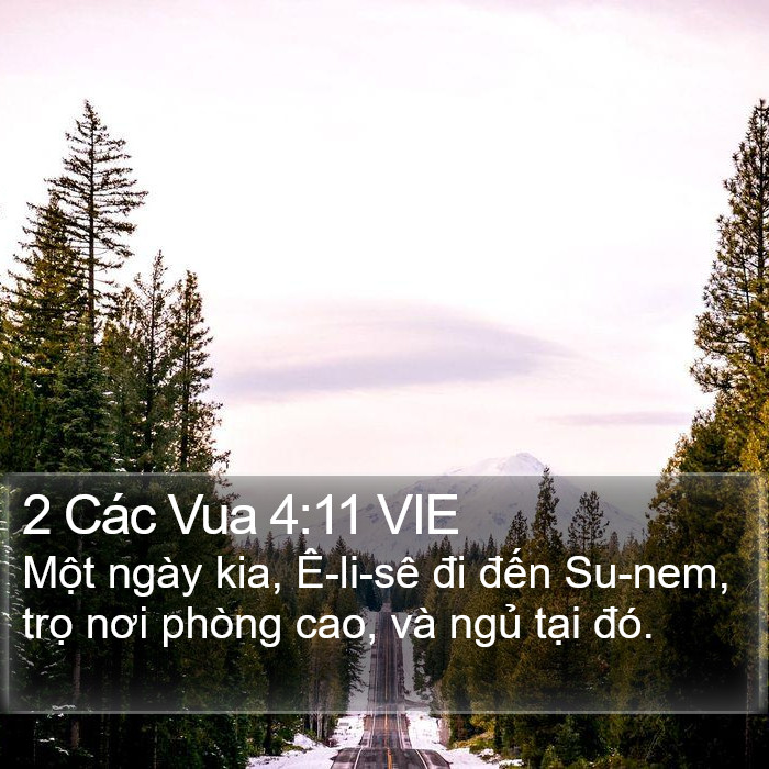 2 Các Vua 4:11 VIE Bible Study