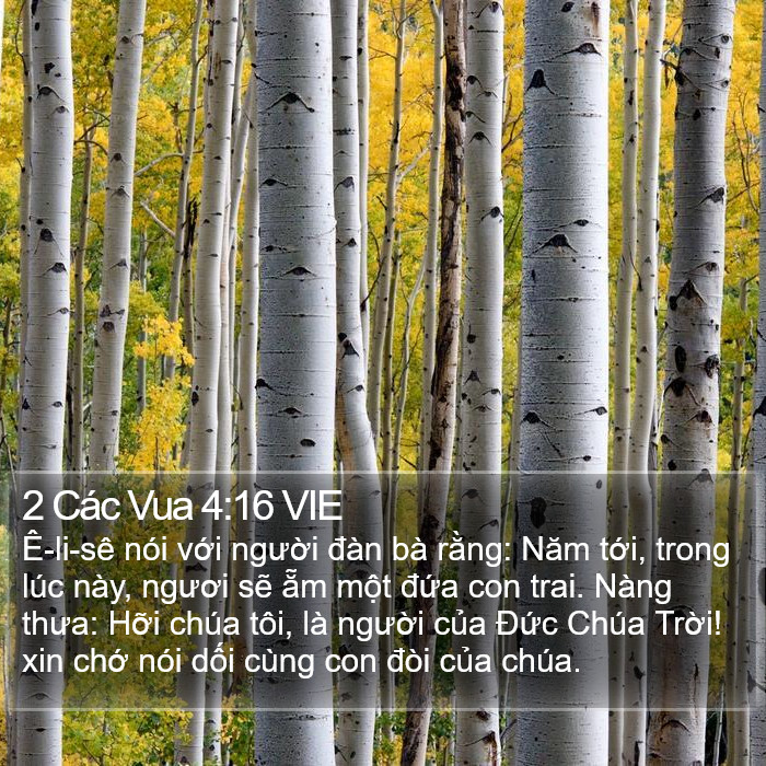 2 Các Vua 4:16 VIE Bible Study