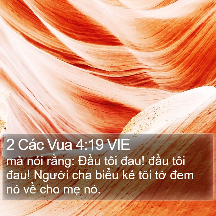 2 Các Vua 4:19 VIE Bible Study