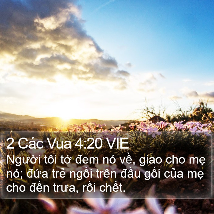 2 Các Vua 4:20 VIE Bible Study